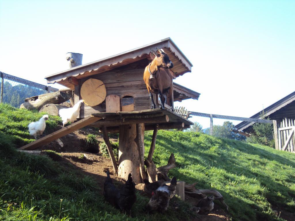 Appartements Gruenholz อิทเทอร์ ภายนอก รูปภาพ